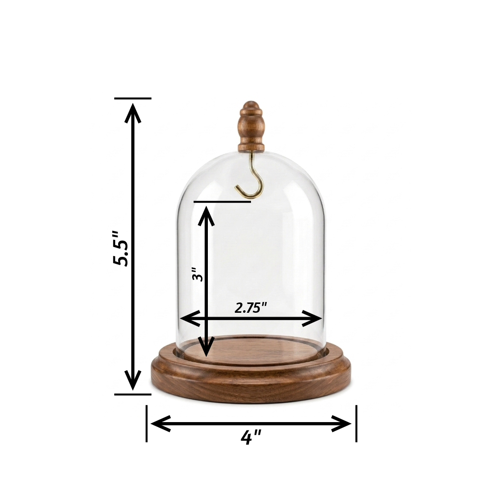 Pocket Watch Glass Display Dome Cloche Hook Real Walnut Base & Wood Knob 3"x4"