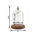 Pocket Watch Glass Display Dome Cloche Real Walnut Wood Base & Silver Hook 3"x4"