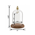 Pocket Watch Glass Display Dome Cloche Real Walnut Wood Base & Silver Hook 3"x4"