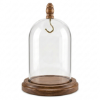 Pocket Watch Glass Display Dome Cloche Real Walnut Wood Base & Silver Hook 3"x4"