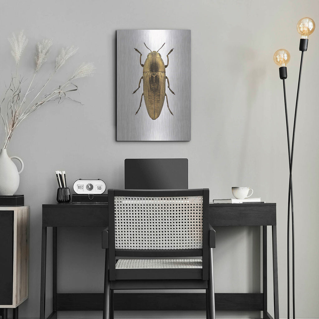 Beetle 4