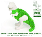 T-Rex Dinosaur Ceramic Planter - Sprouting Chia Pet Plant Pot - Gift Republic