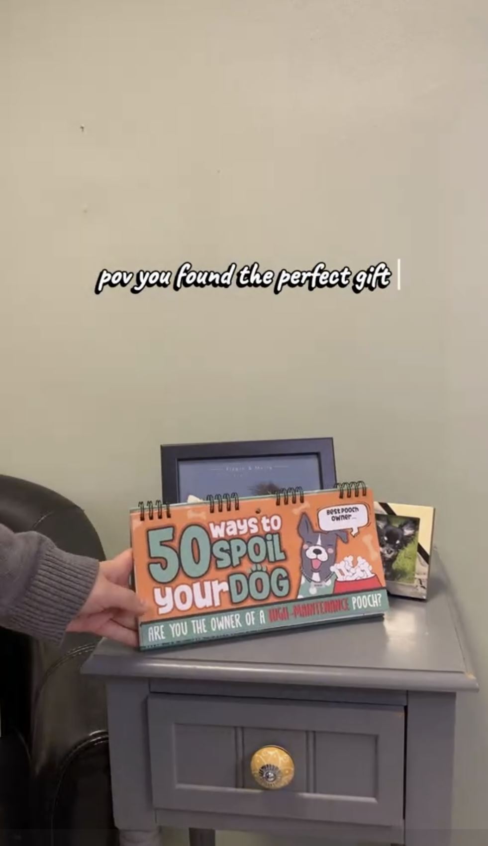 50 Ways to Spoil Your Dog - Funny Kitchen Office Desk Spiral Flip Book Signs