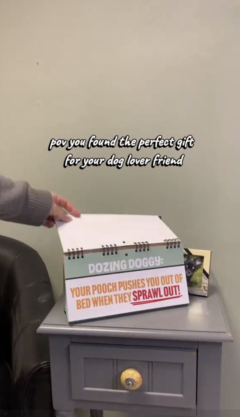 50 Ways to Spoil Your Dog - Funny Kitchen Office Desk Spiral Flip Book Signs