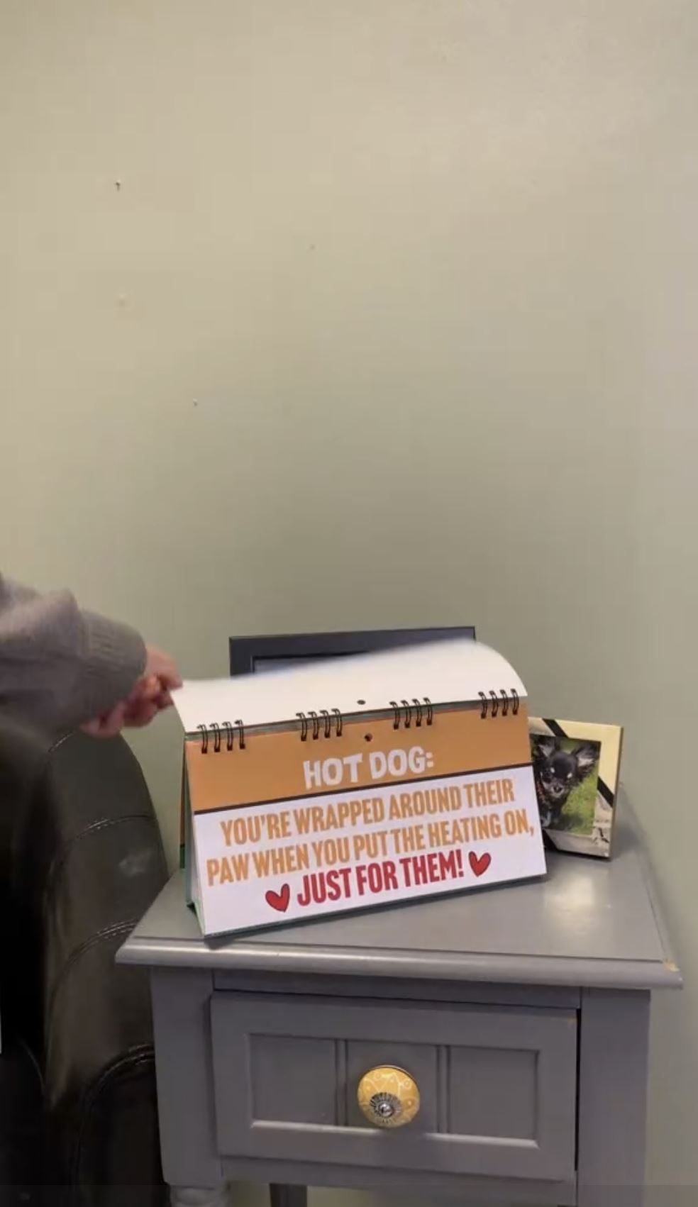 50 Ways to Spoil Your Dog - Funny Kitchen Office Desk Spiral Flip Book Signs