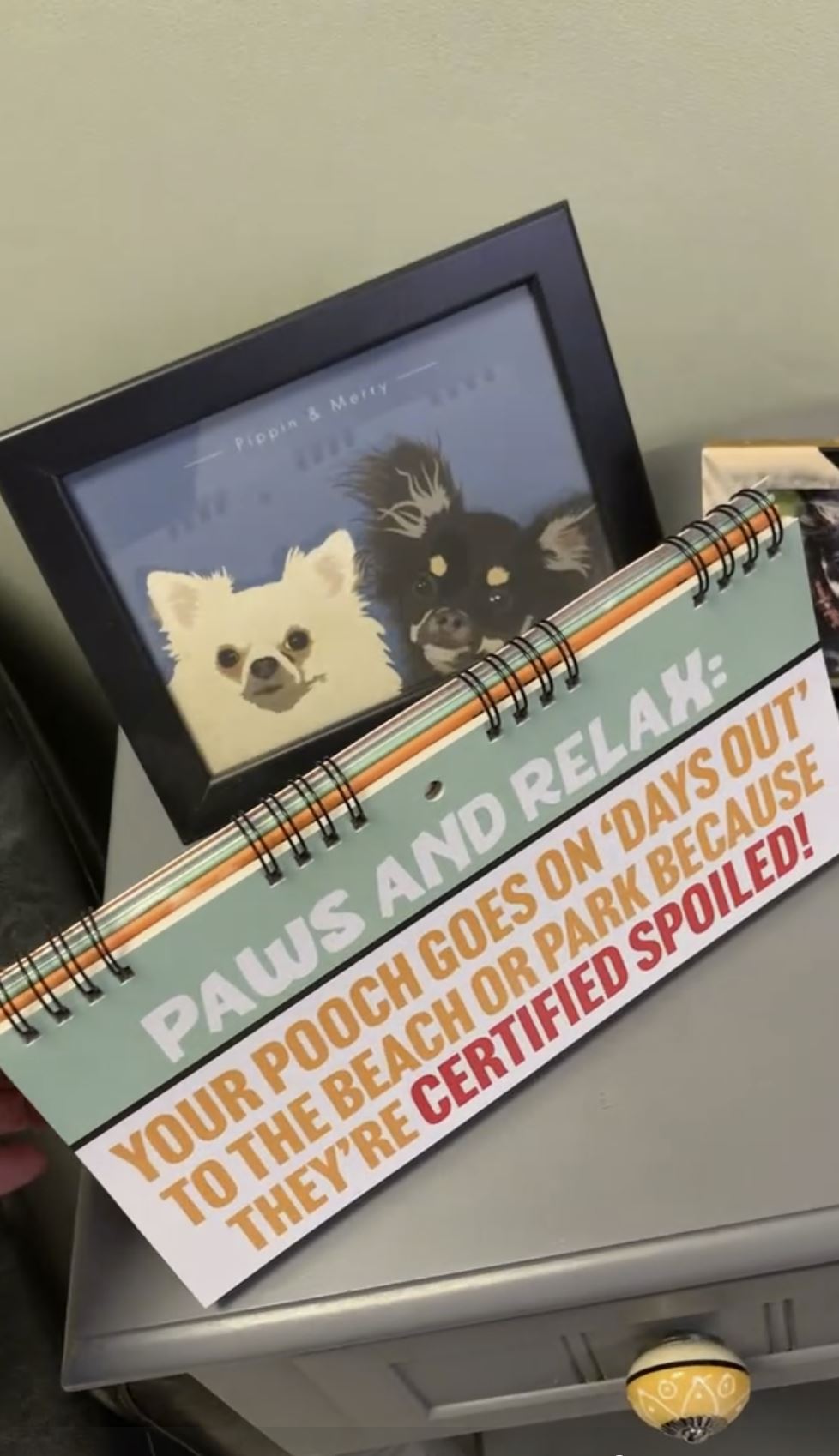50 Ways to Spoil Your Dog - Funny Kitchen Office Desk Spiral Flip Book Signs