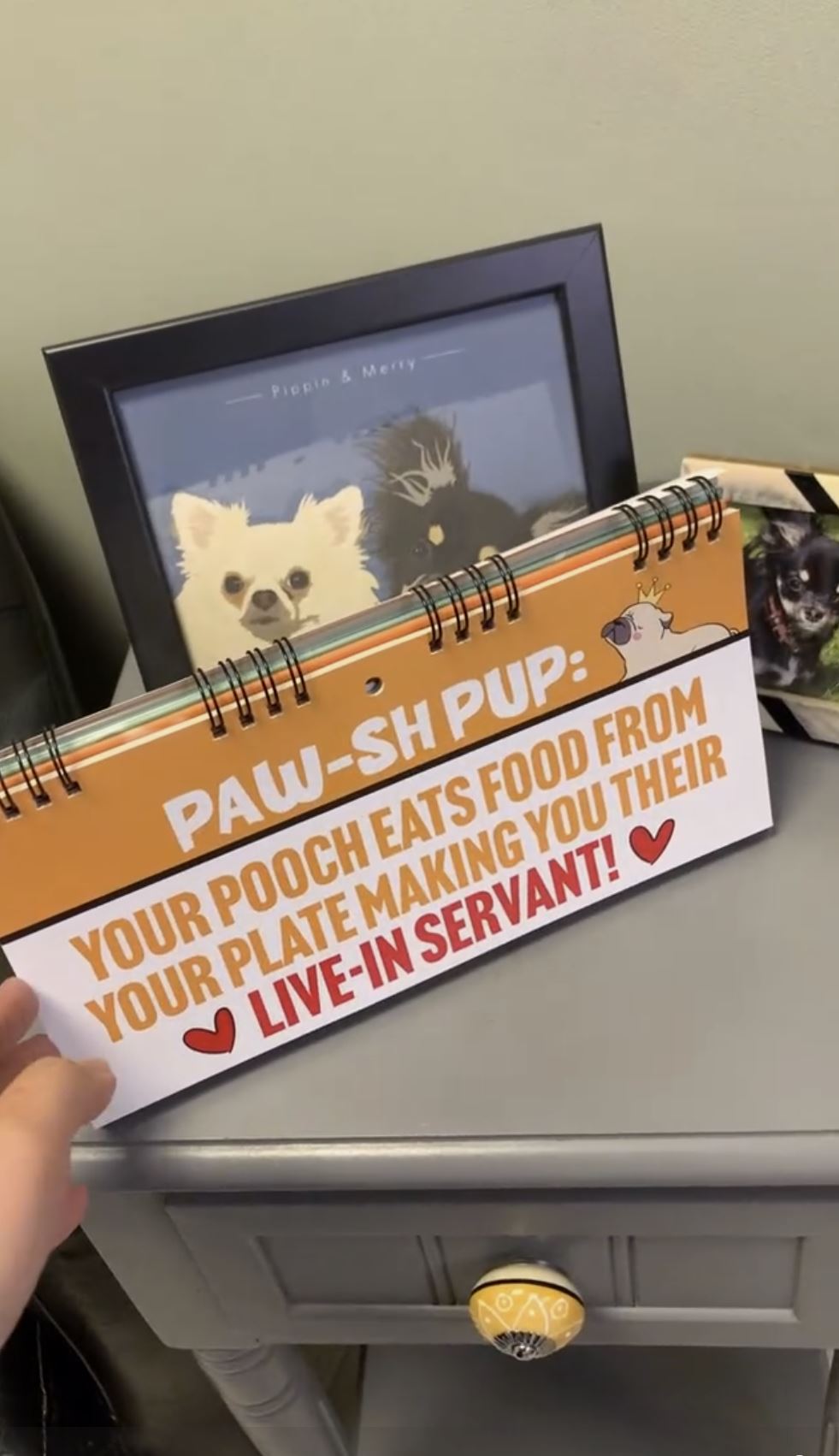 50 Ways to Spoil Your Dog - Funny Kitchen Office Desk Spiral Flip Book Signs
