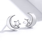 S925 Sterling Silver Earrings for Women