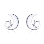 S925 Sterling Silver Earrings for Women