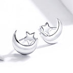 S925 Sterling Silver Earrings for Women