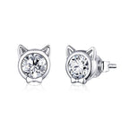925 Sterling Silver Plated Platinum CZ Earrings for Women