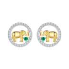925 Sterling Silver Earrings with CZ in White Gold Plated for Women