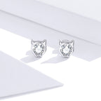925 Sterling Silver Plated Platinum CZ Earrings for Women