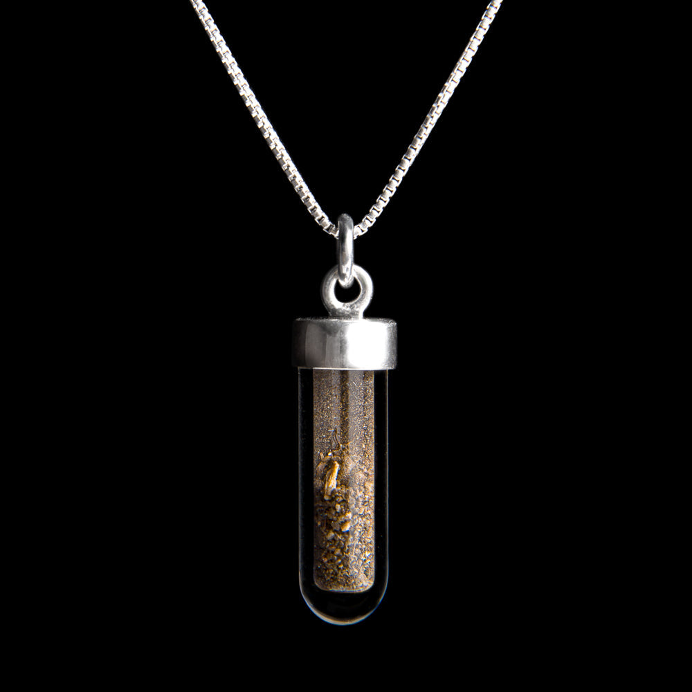 Dracula Soil Vial Necklace 🦇