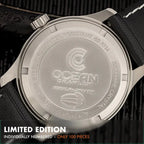 Dream Diver - Polar Ice Meteorite - Preorder