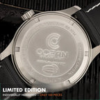 Dream Diver - Polar Ice Meteorite - Preorder