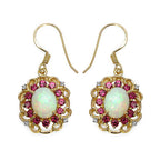 14K Yellow Gold Plated 4.94 Carat Genuine Multi Stones .925 Sterling Silver Earrings