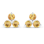 0.72 Carat Genuine Yellow Sapphire .925 Sterling Silver Earrings