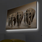 Elephant Herd