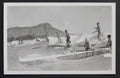 Vintage Surfing  Waikiki Theme B/W Photo Postcard