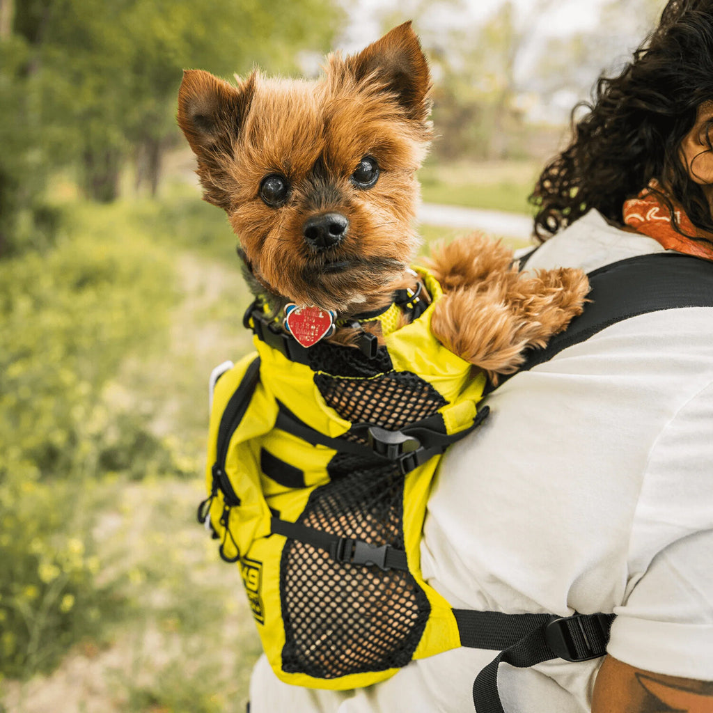 Walk-On with Harness & Storage // Yellow