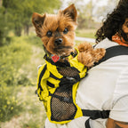 Walk-On with Harness & Storage // Yellow