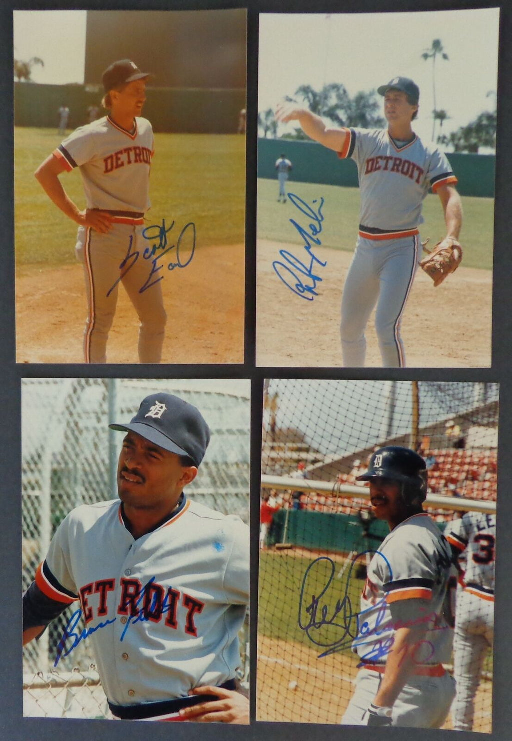 Lot of (12) Autographed 4x6 Snap Shot Photos Detroit Tigers 177115