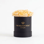 Essence Black Box | Ivory Roses