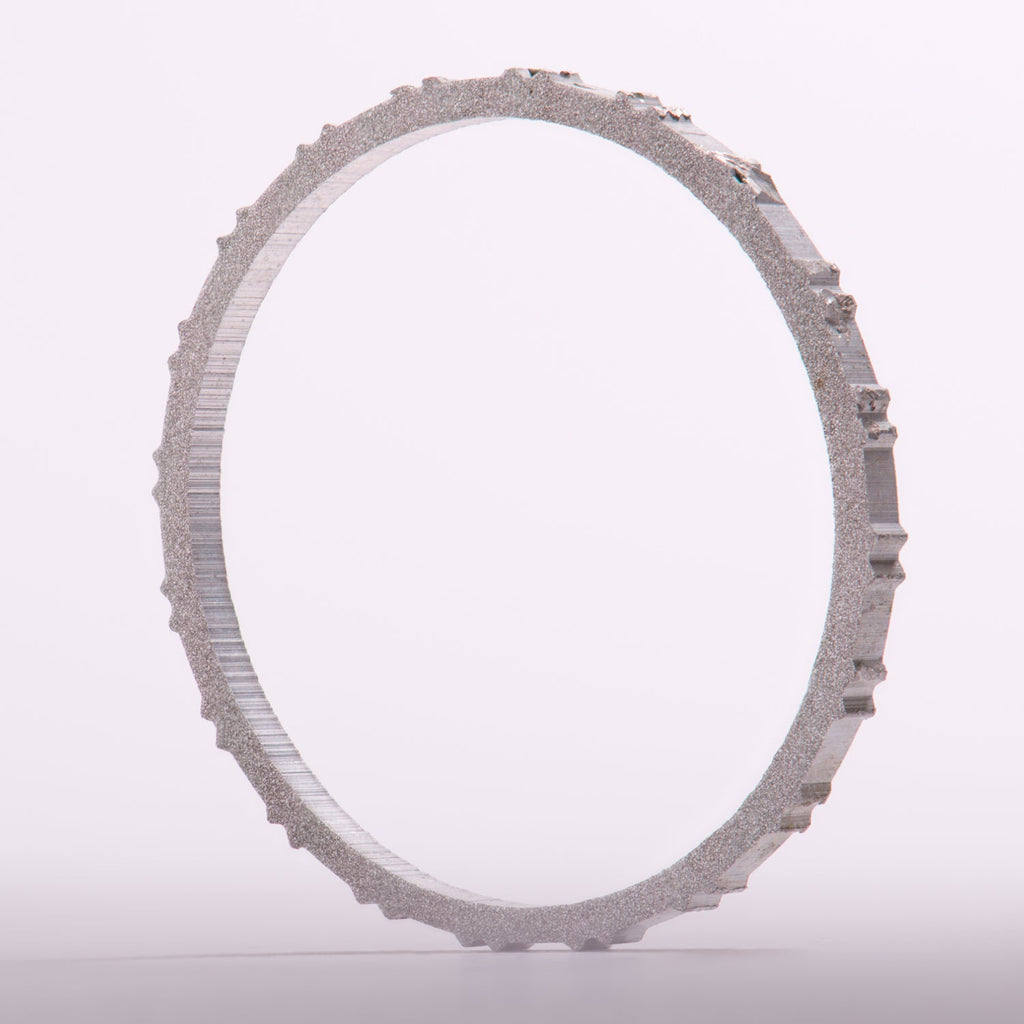 Mount Everest Ladder Rung