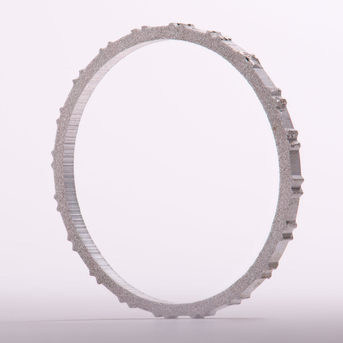 Mount Everest Ladder Rung