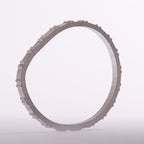 Mount Everest Ladder Rung