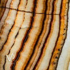 Exotic Sahara Onyx Wall Panels (Set #6)