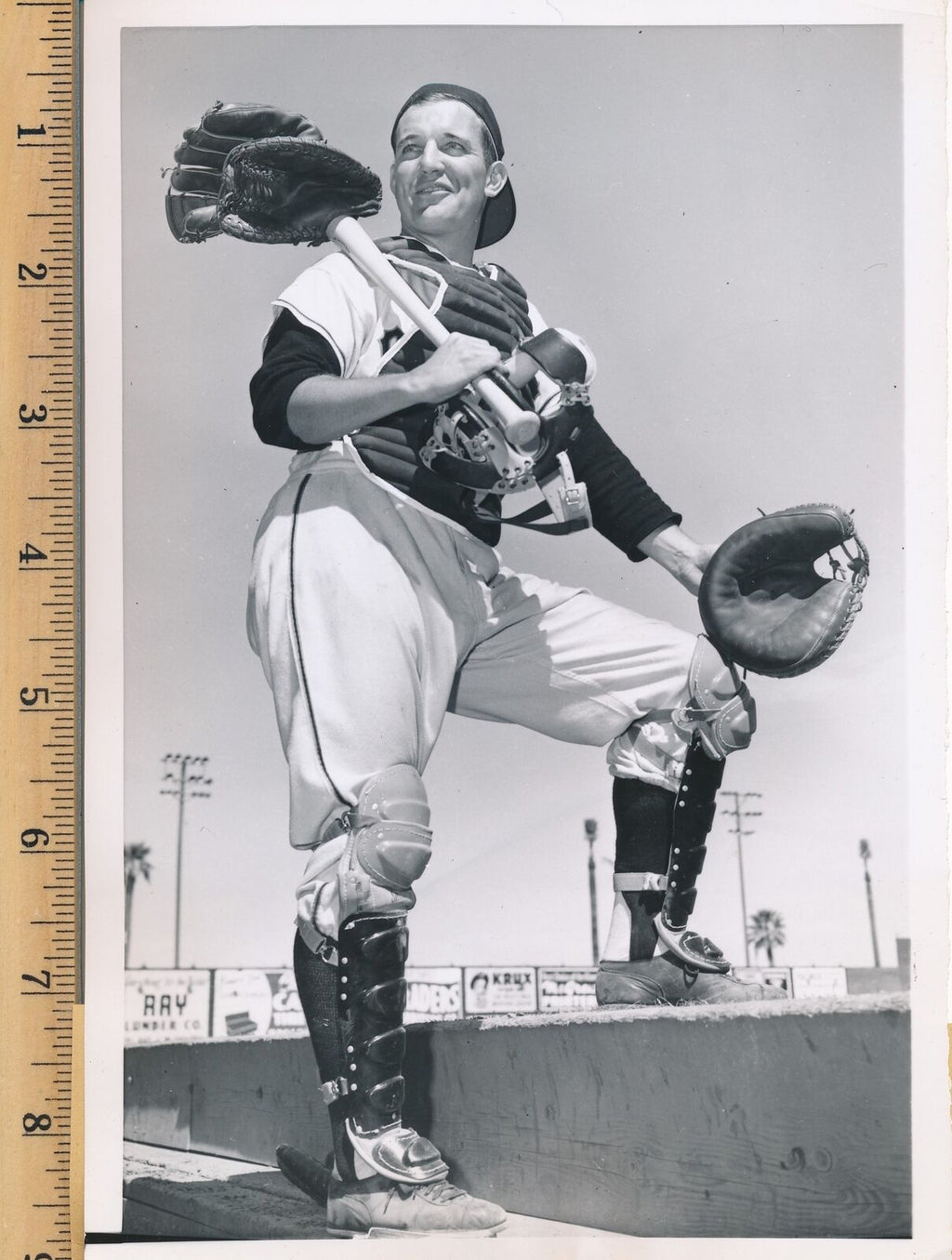 Bobby Hofman 8x10 B/W 1955 Press Wire Photo New York Giants