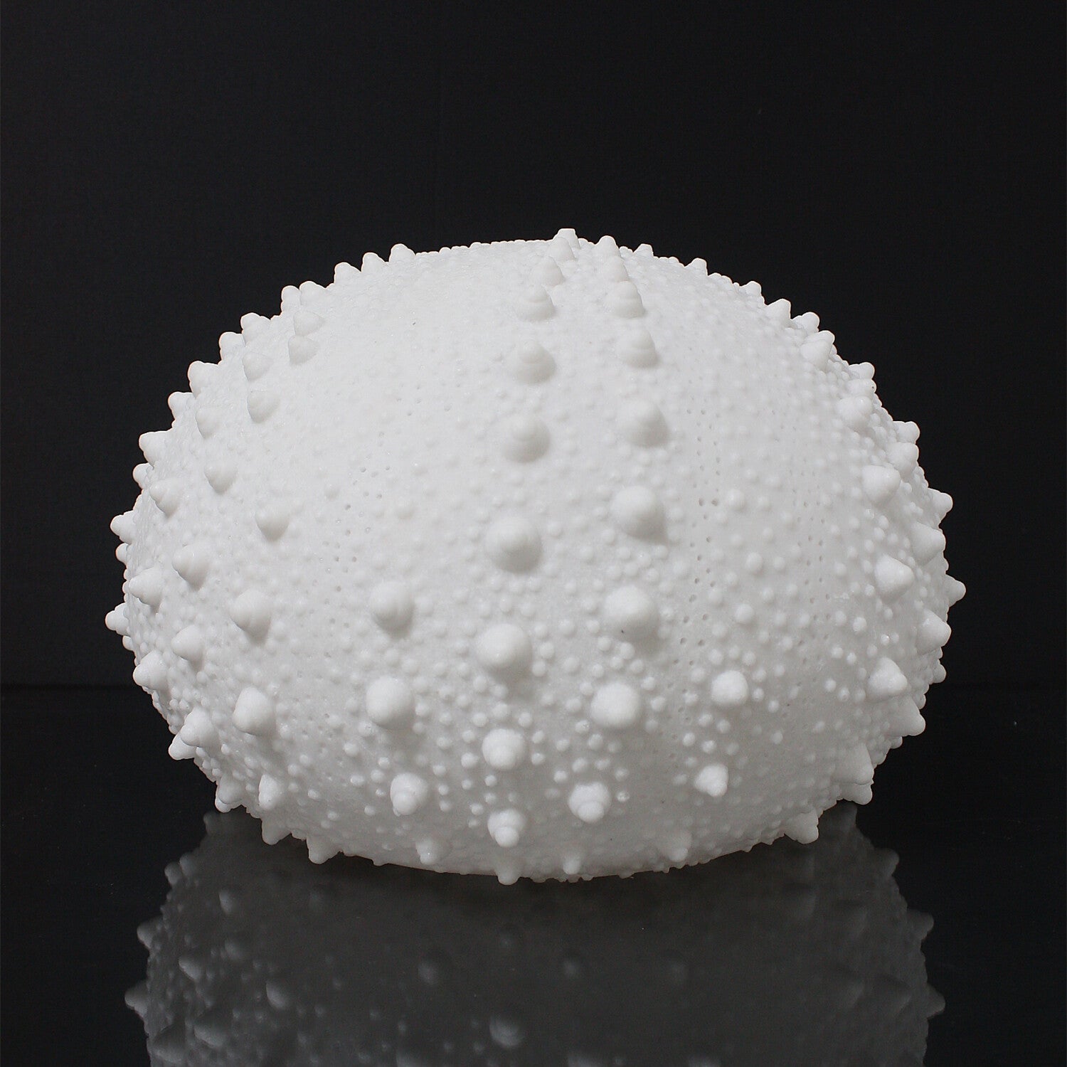 Cast Resin Sea Urchin Lamp // Small