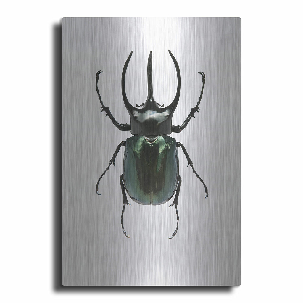 Beetle 2