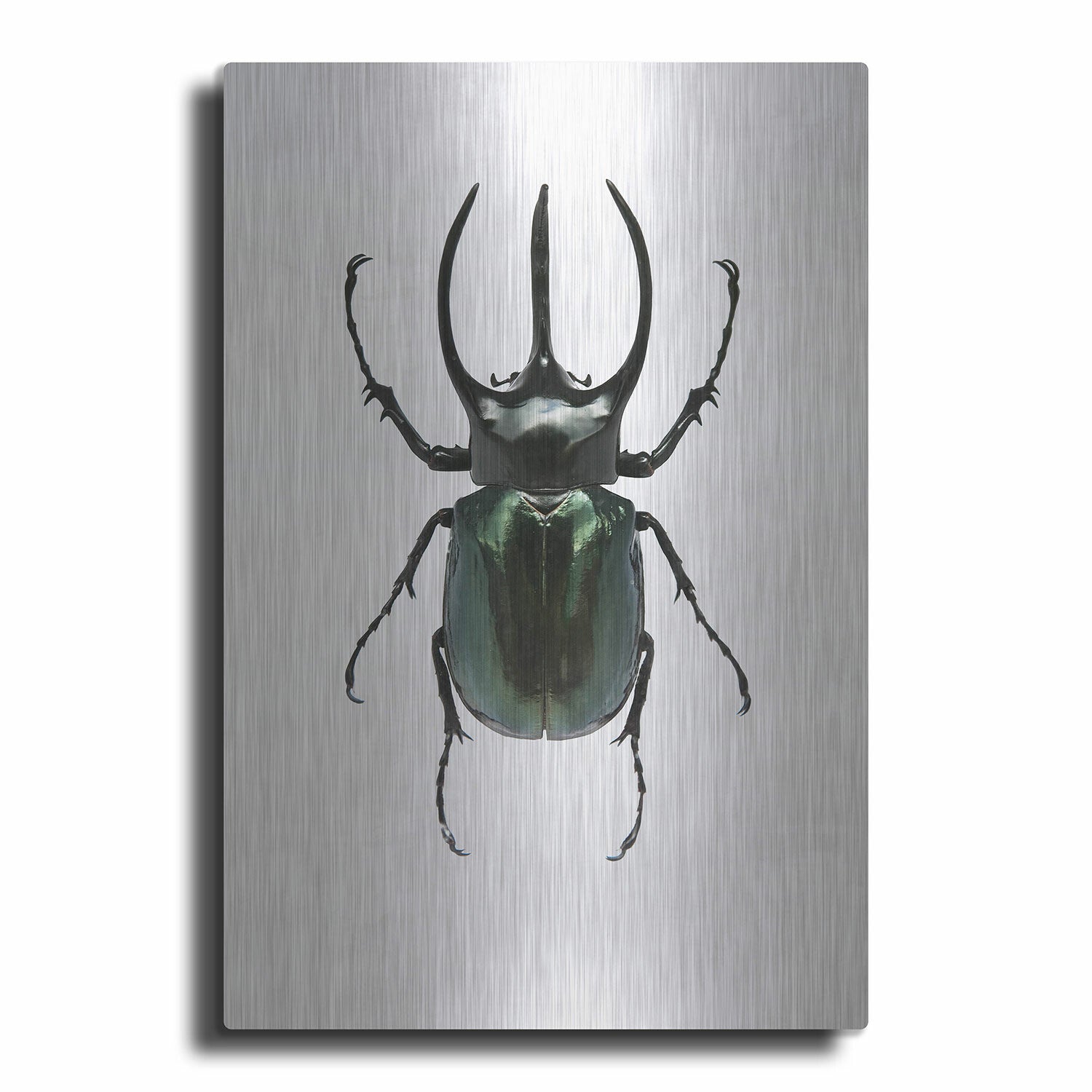 Beetle 2