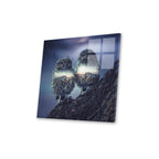 Owl Twins Print On Acrylic Glass by Paul Haag