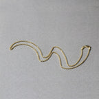 14k Yellow Gold Forsantina Lite Cable Link Chain 1.9mm