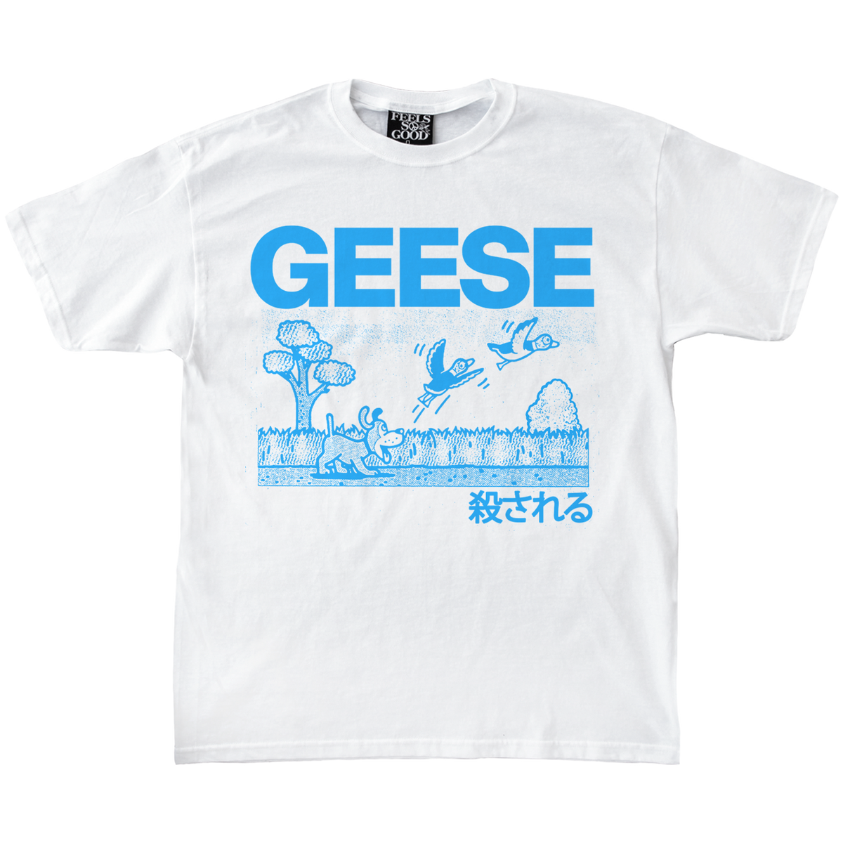 GEESE