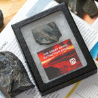 The Great Dying Extinction Event - Siberian Traps Slab