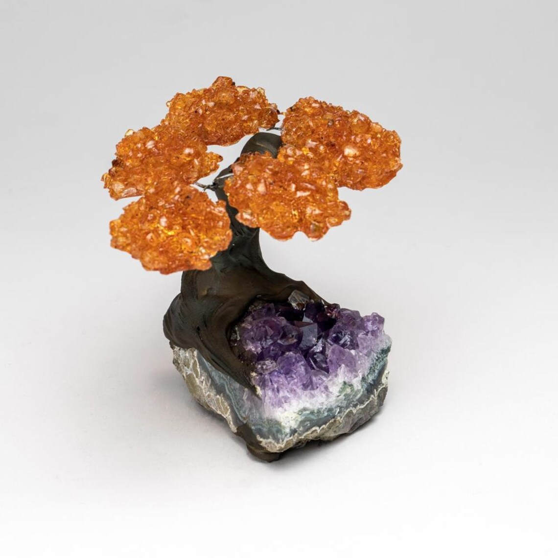 Genuine Citrine Clustered Gemstone Tree on Amethyst Matrix (4") - The Money Tree