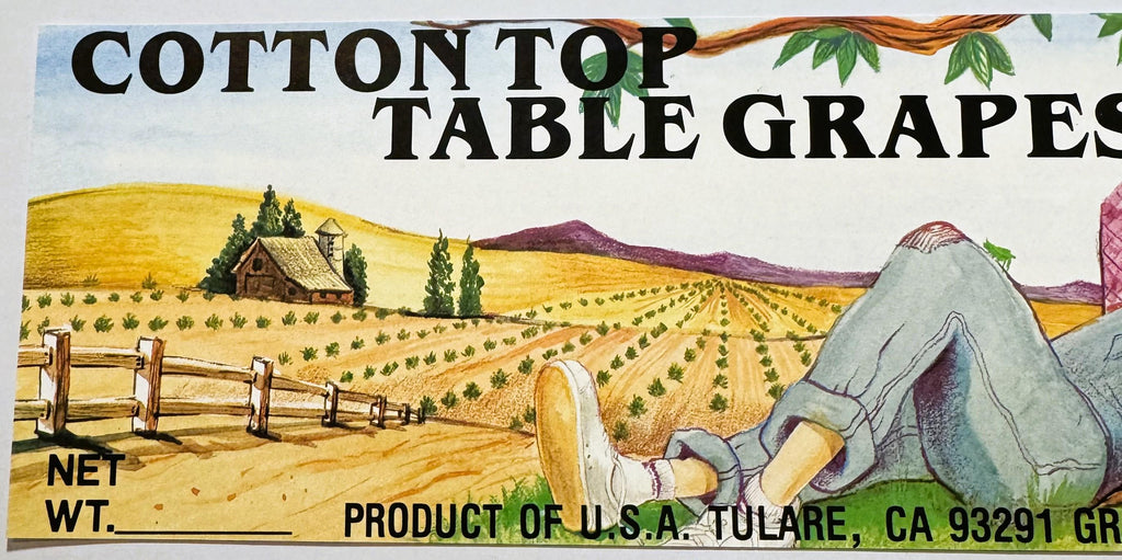 Vintage 1980s Cotton Top Table Grapes Crate Label 🍇 from Tulare, California
