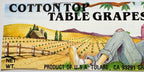 Vintage 1980s Cotton Top Table Grapes Crate Label 🍇 from Tulare, California