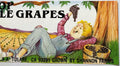 Vintage 1980s Cotton Top Table Grapes Crate Label 🍇 from Tulare, California