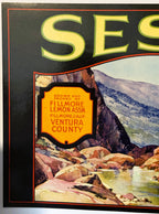Antique 1930s Sespe Brand Sunkist Lemon Crate Label 🍋 — Fillmore Lemon Assn., Fillmore, Ventura County CA