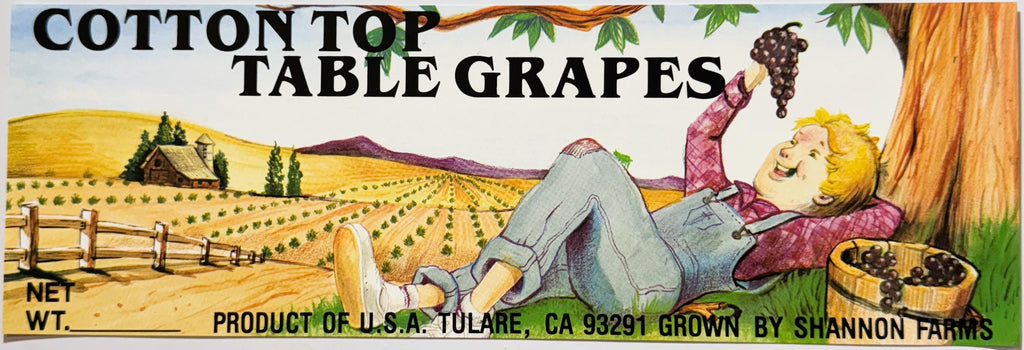 Vintage 1980s Cotton Top Table Grapes Crate Label 🍇 from Tulare, California