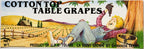 Vintage 1980s Cotton Top Table Grapes Crate Label 🍇 from Tulare, California
