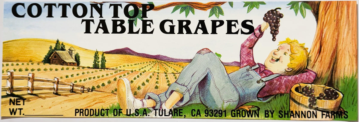 Vintage 1980s Cotton Top Table Grapes Crate Label 🍇 from Tulare, California