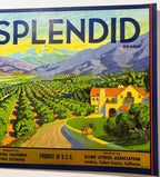 Antique 1930s Splendid Lemons Crate Label 🍋 Klink Citrus Association, Ivanhoe, Tulare County California