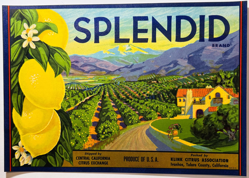 Antique 1930s Splendid Lemons Crate Label 🍋 Klink Citrus Association, Ivanhoe, Tulare County California